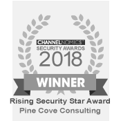 Channelnomics Rising Security Star