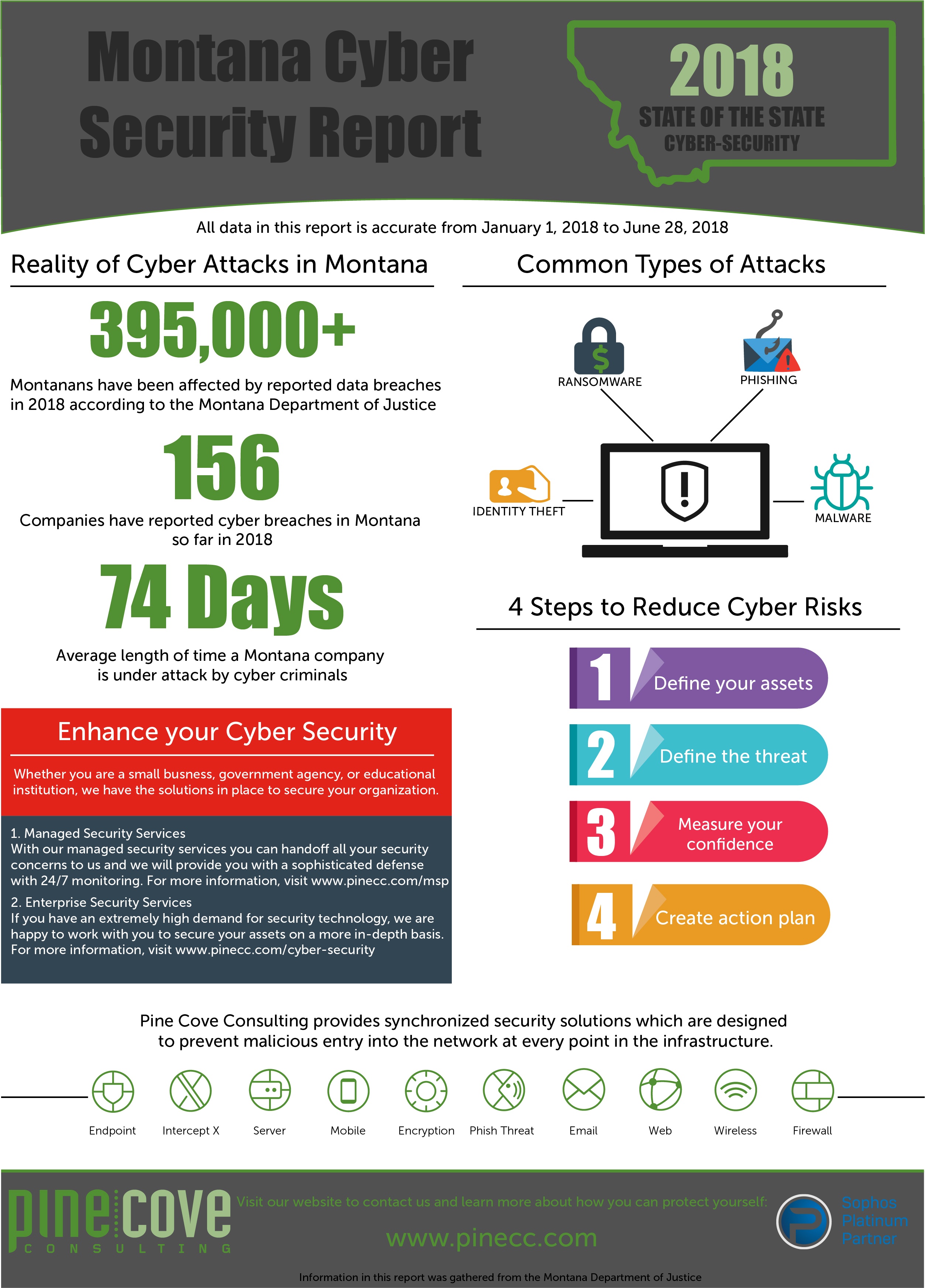 Montana Cyber Security Report